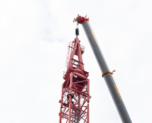 Grue rouge avec une flèche grise en position élevée, vue de dessous.