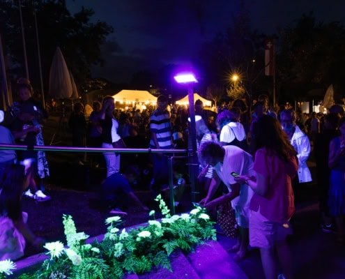 public regardant des plantes luminescentes lors de la fête nationale suisse à Saint-Prex 2