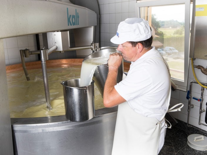 portrait corporate d'un fromager dans une entreprise en train de verser du lait dans une cuve