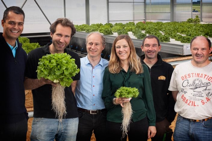 photo de groupe corporate représentant des cultivateurs de salades