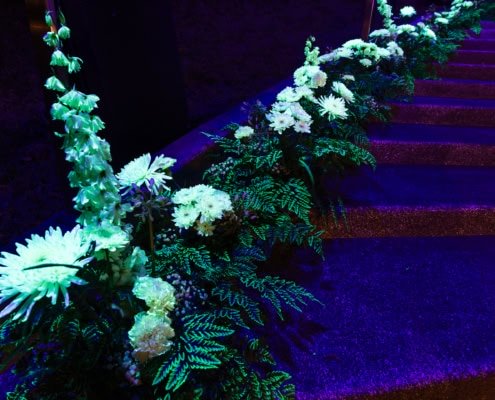 plantes luminescentes sur les marches d'un escalier